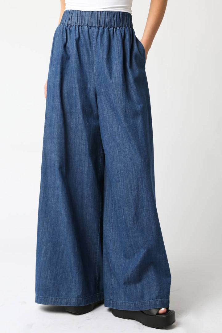 Gia Wide Leg Denim Pants