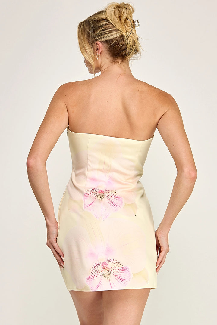 Alanis Strapless Mini Dress