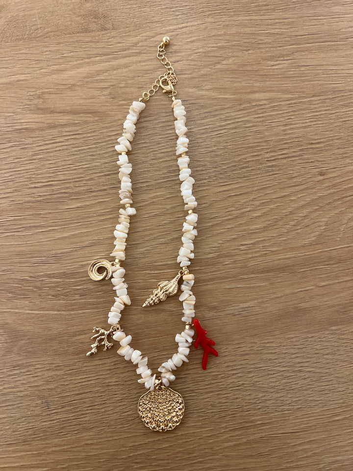 Seashell Necklace