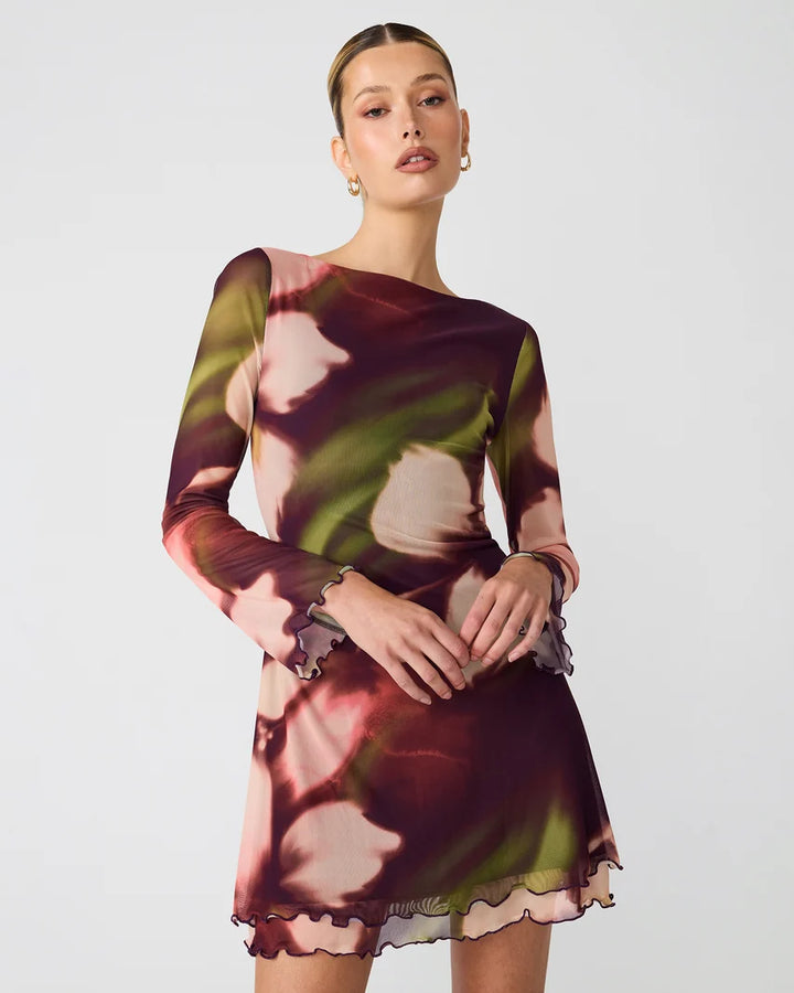 Larisa Mesh Dress