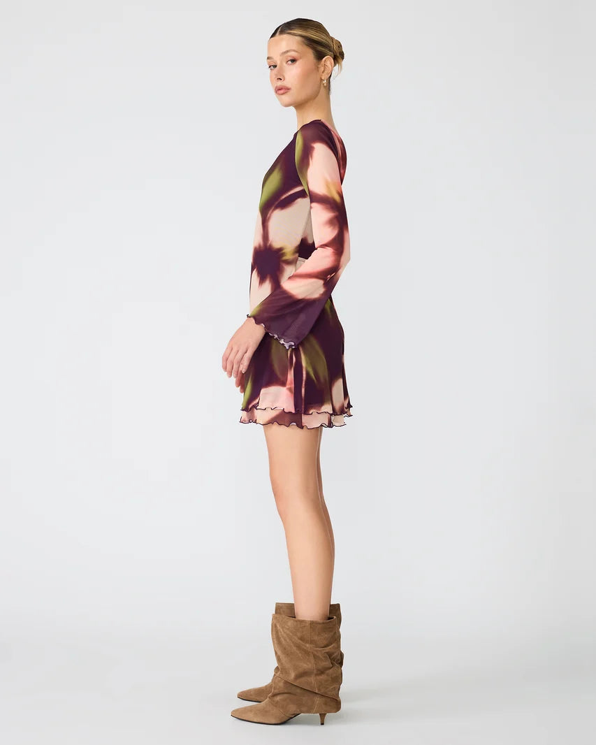 Larisa Mesh Dress