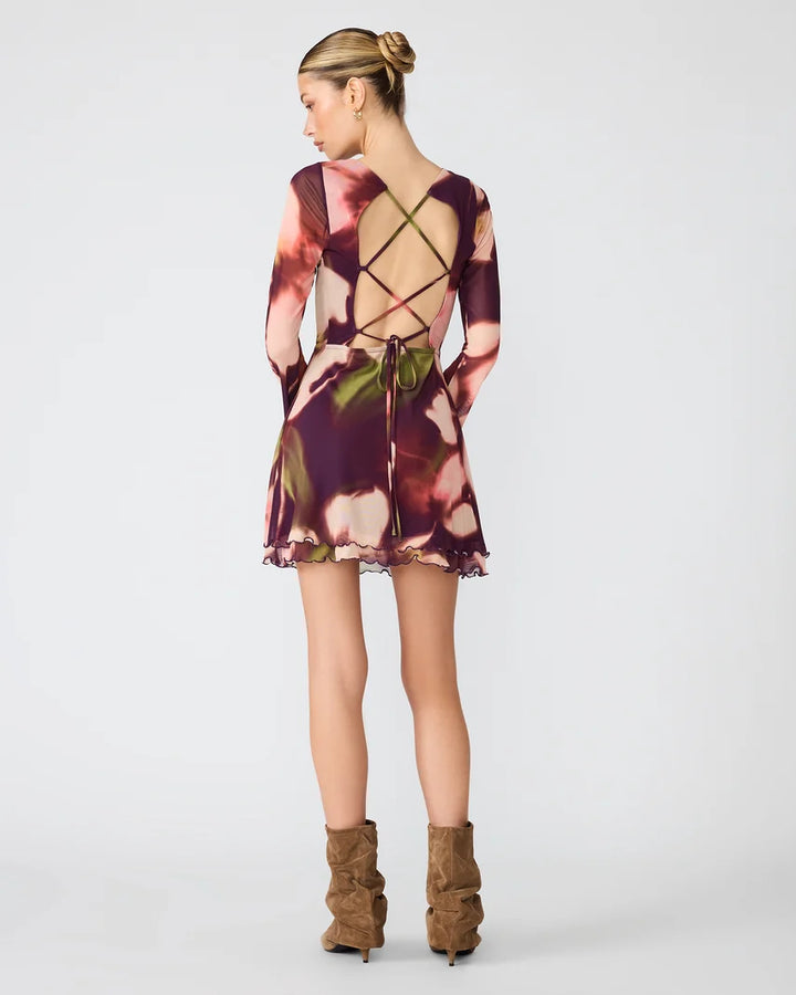 Larisa Mesh Dress