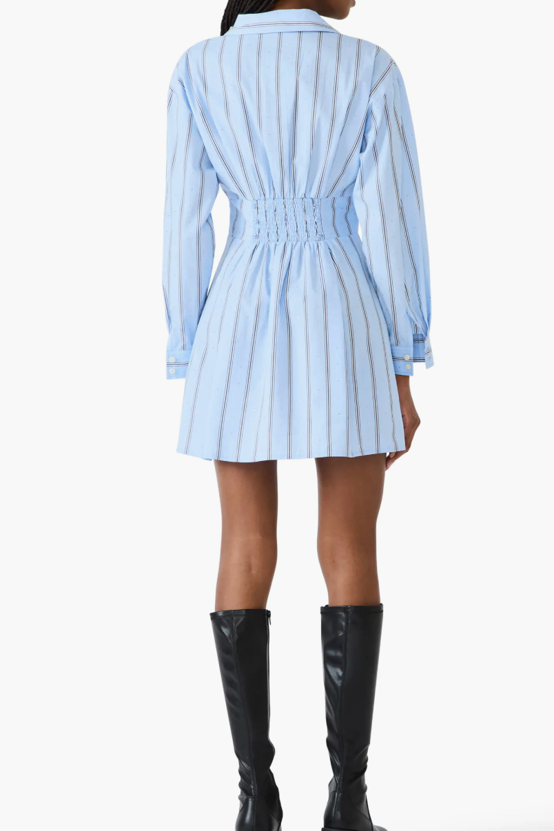 Ariany Long Sleeve Shirtdress
