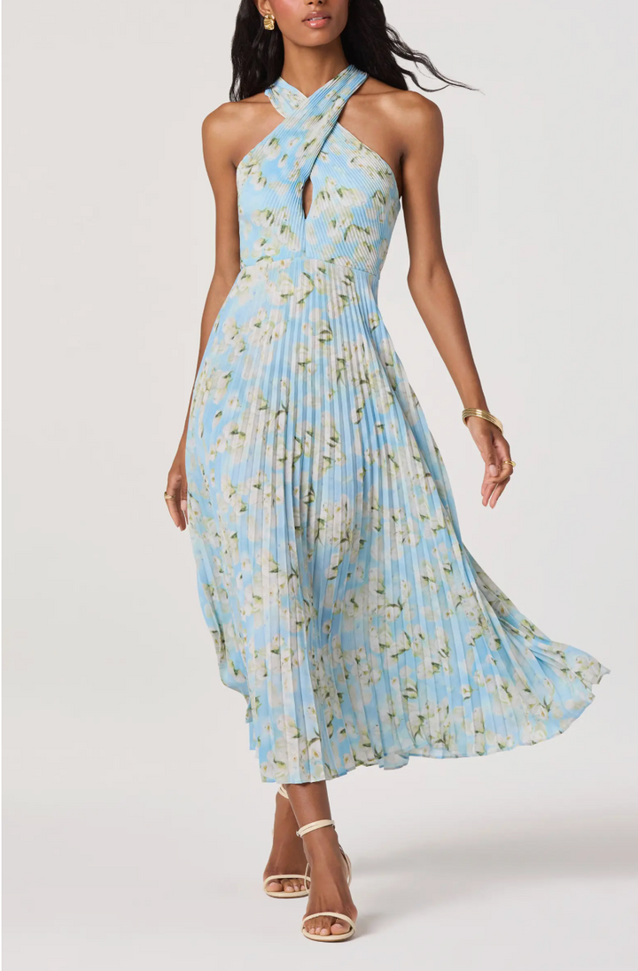 Samantha Halter Dress
