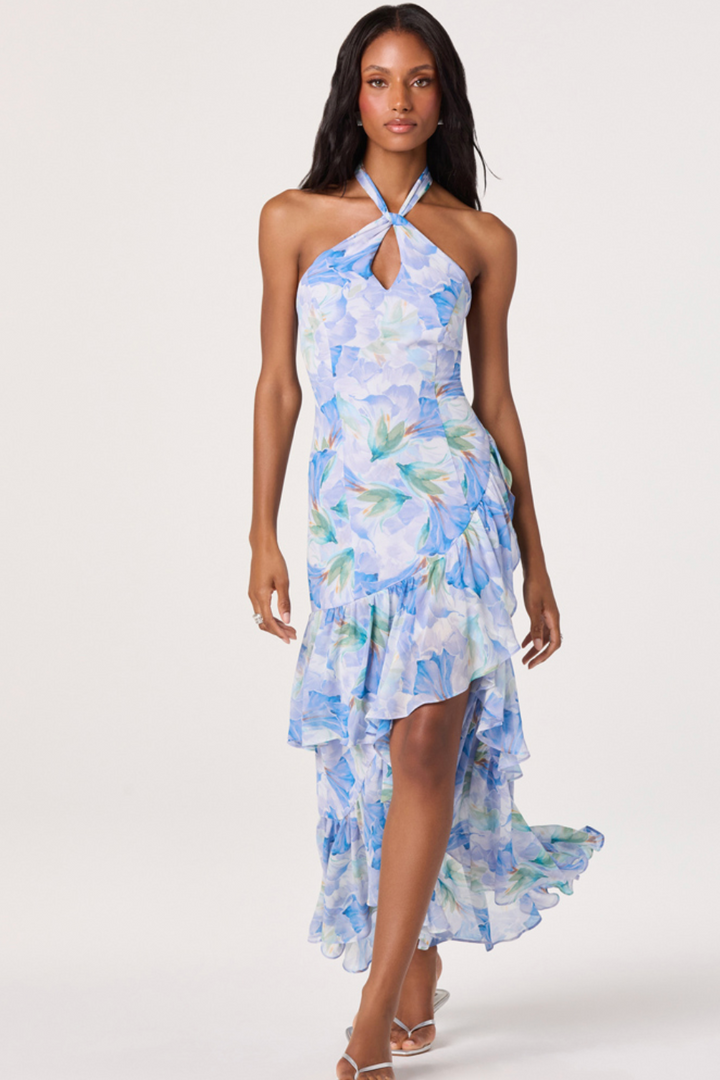 Bethina Floral Ruffle Dress