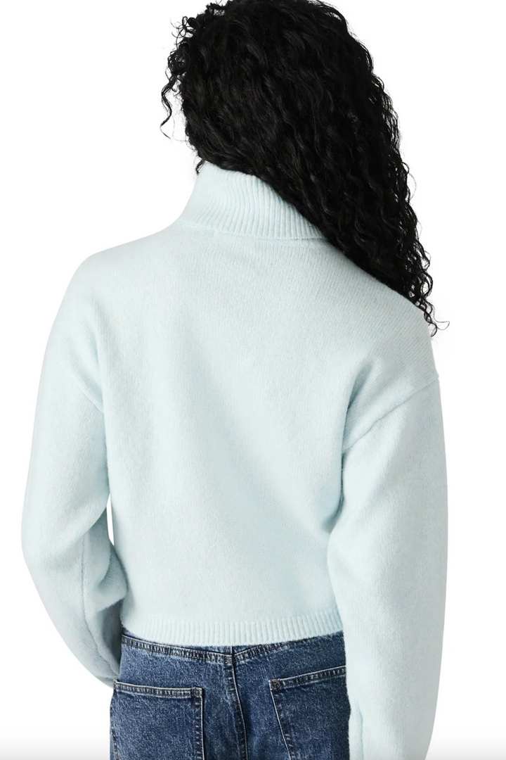 Raegann Turtle Neck Knit Sweater