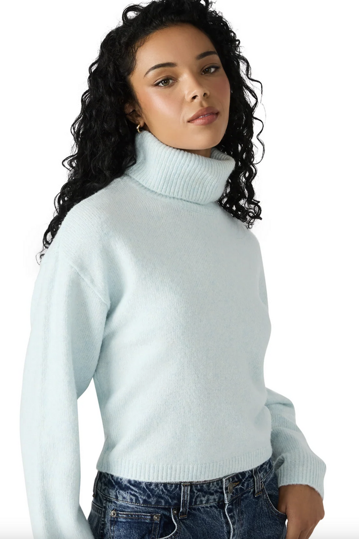 Raegann Turtle Neck Knit Sweater