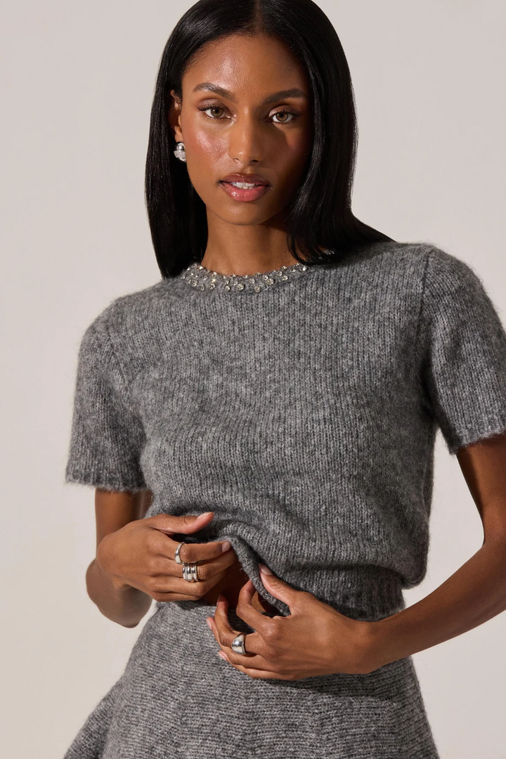 Malvie Sparkle Short Sleeve Sweater