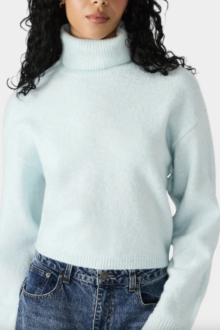 Raegann Turtle Neck Knit Sweater