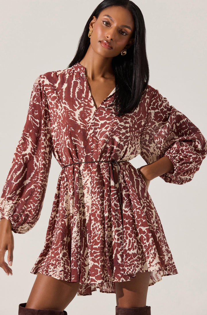 Marisela Mini Dress
